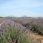 Hébergement de vacances Provence And Lavender *