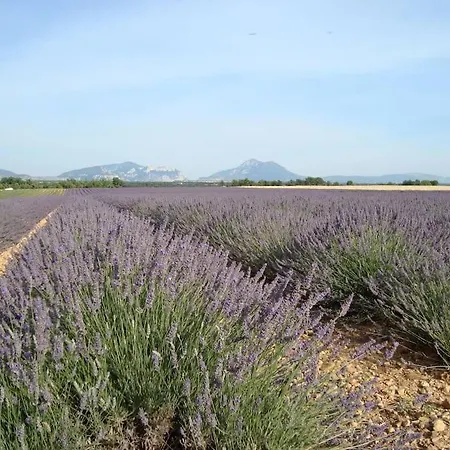 Holiday home Provence And Lavender *