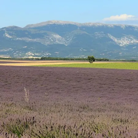 Provence And Lavender Holiday home