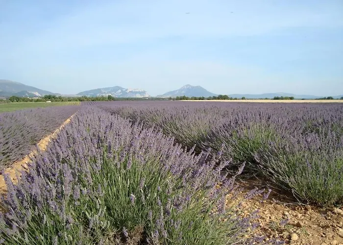 Holiday home Provence And Lavender *