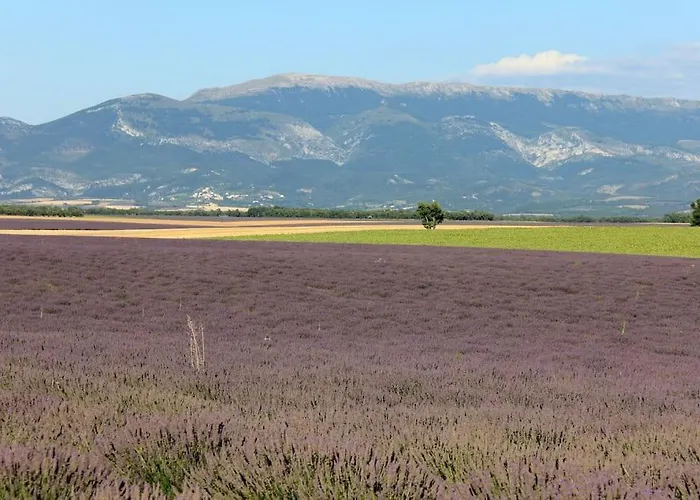 Provence And Lavender Holiday home